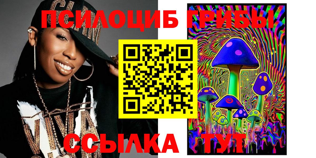 Галлюциногенные грибы Psilocybine cubensis Тольятти